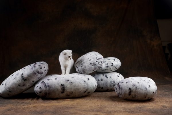 Living Pebble Floor Cushions - Image 3