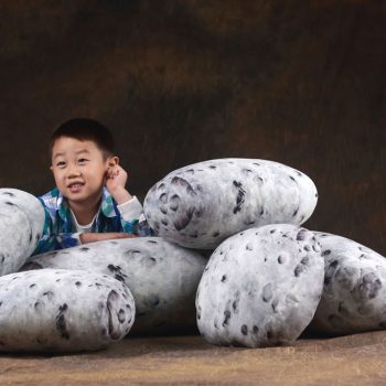 Living Pebble Floor Cushions